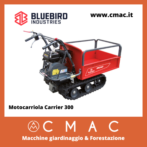 Motocarriola Bluebird Carrier300